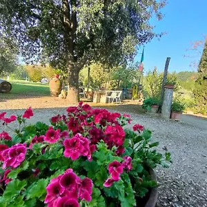  Alloggio per agriturismo Azienda Agricola Polveraia